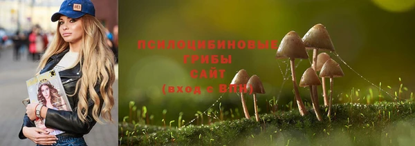 твердый Липки