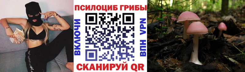 Псилоцибиновые грибы Magic Shrooms  hydra как зайти  Южа  купить наркотик 